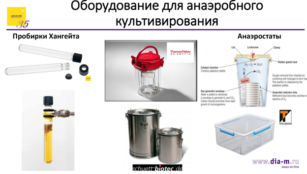 Все ушли, они остались – продолжение. Что кроме весов? Все ушли, они остались – продолжение. Что кроме весов?