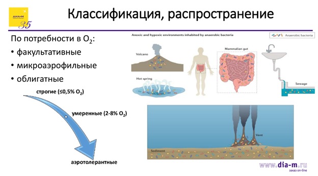 Все ушли, они остались – продолжение. Что кроме весов? Все ушли, они остались – продолжение. Что кроме весов?