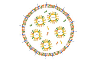 Кто на новенького? Новый производитель микрофлюидных систем Suzhou Precigenome