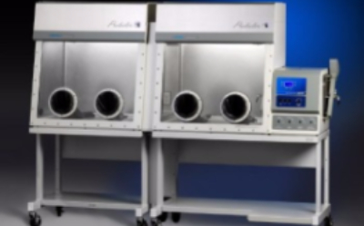 Боксы контролируемой атмосферы Labconco