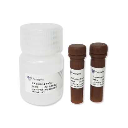 Набор для определения апоптоза Annexin V-FITC/PI Apoptosis Detection Kit A211