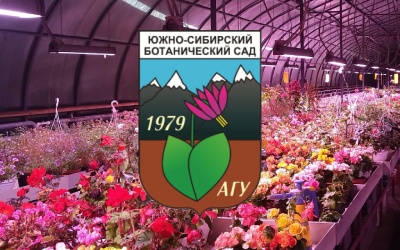 Итоги IV Всероссийской научно-практической школы молодых ученых «Проточная цитометрия и молекулярная филогения растений»