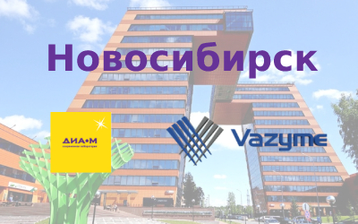 Диаэм и Vazyme в Новосибирске