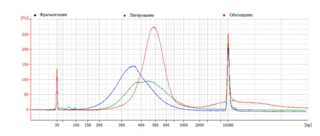 Примеры фрагментационных профилей (с использованием набора High Sensitivity DNA kit, Agilent) Фрагментационные профили (с использованием набора High Sensitivity DNA kit, Agilent)
