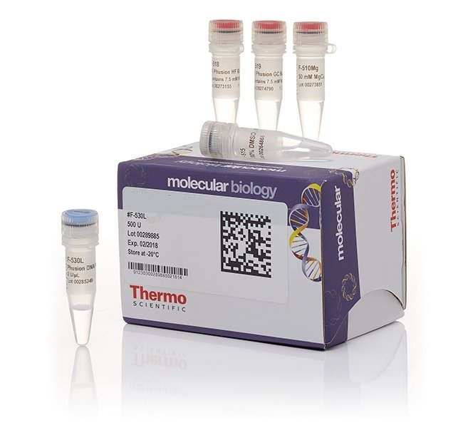 Реактивы Thermo FS для молекулярно-биологических исследований в небольших фасовках.