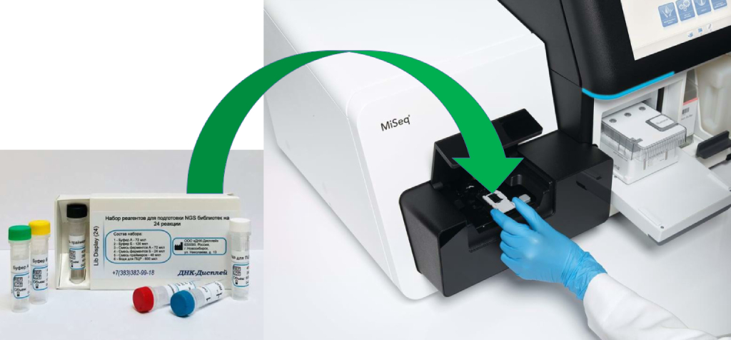 Подготовка библиотек для NGS с Illumina и наборами ДНК-дисплей Линейка наборов ДНК-дисплей обеспечивает полный рабочий процесс по подготовке библиотеки делая его максимально простым и удобным