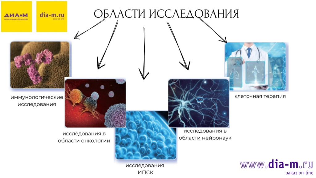 Области исследования