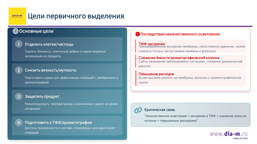Первичное выделение