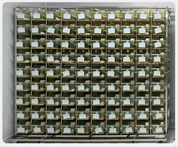 Стеллаж для клеток мышей IVC (IVC Mouse Cage Rack), 90 позиций, Servicebio, Китай