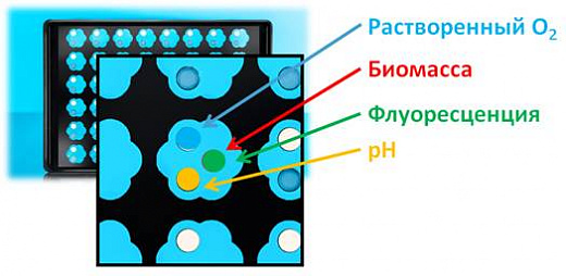 Планшет с круглыми лунками, прозрачное дно, O₂-оптоды, 1 шт. Фото 2