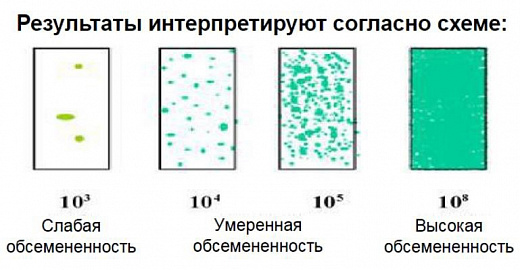 Микробиологические экспресс-тесты для подсчета КМАФАнМ (ОМЧ) с красным индикатром ТТС для удобства подсчета колоний и дрожжи/плесени, двухсторонние, Dip-Slides, 10 шт/уп Фото 2