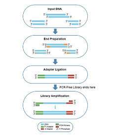 Набор для подготовки NGS библиотек VAHTS Universal DNA Library Prep Kit for Ion Torrent V2