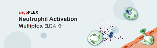 Набор ИФА arigoPLEX Mouse M1/ M2/ MDSC Cytokines (GM-CSF, MCP-1, IL-12, IFN-γ, IL-6, TNF-α, IL-4, IL-10), 96 тестов, Arigobio, Китай