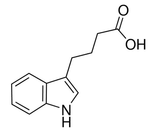 Индолилмасляная кислота, Индия