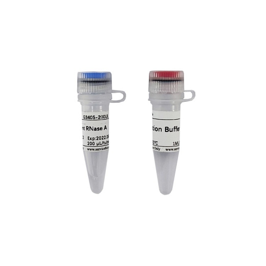 РНКаза А рекомбинантная/Recombinant RNase A