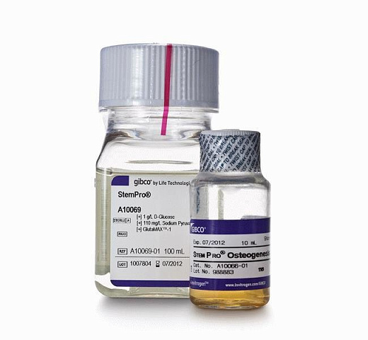 Набор StemPro Osteogenesis Differentiation Kit, для дифференцировки мезенхимальных стволовых клеток человека в остеоциты