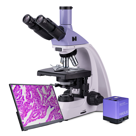 Микроскоп тринокуляр Bio D250TL LCD с камерой и экраном, арт. 83011