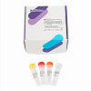 Набор реагентов для секвенирования ДНК по методу Сэнгера AMGene Dye v3.1