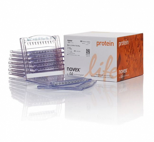 NW00107BOX Гель полиакриламидный Bolt Bis-Tris Mini Protein Gel, 8 х 8 см, 17 лунок, 10%, 10 шт./уп., Thermo FS