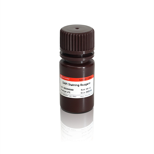 ДАПИ/DAPI, раствор, 2 мкг/мл, готовый к использованию, (2μg/mL, Ready to Use) Servicebio, Китай