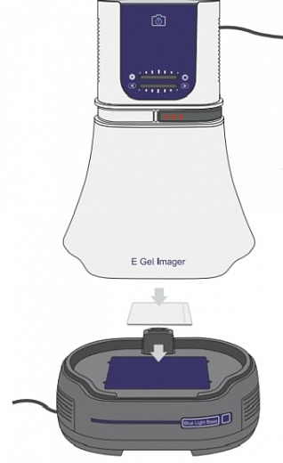 Гельдокументирующая система E-Gel Imager, 1,3 Мп, основание с синим светом 470 нм, универсальный фильтр Фото 2