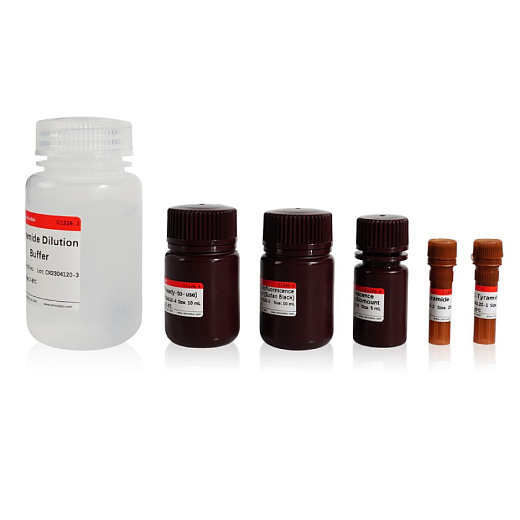 Флуоресцентный набор для двойного окрашивания (IF488+ Red IF555) TSAPLus, Servicebio, Китай